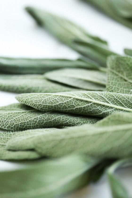 Vegan Butternut Squash Ravioli by Pasta-based. Close and detailed photo of sage leaves.