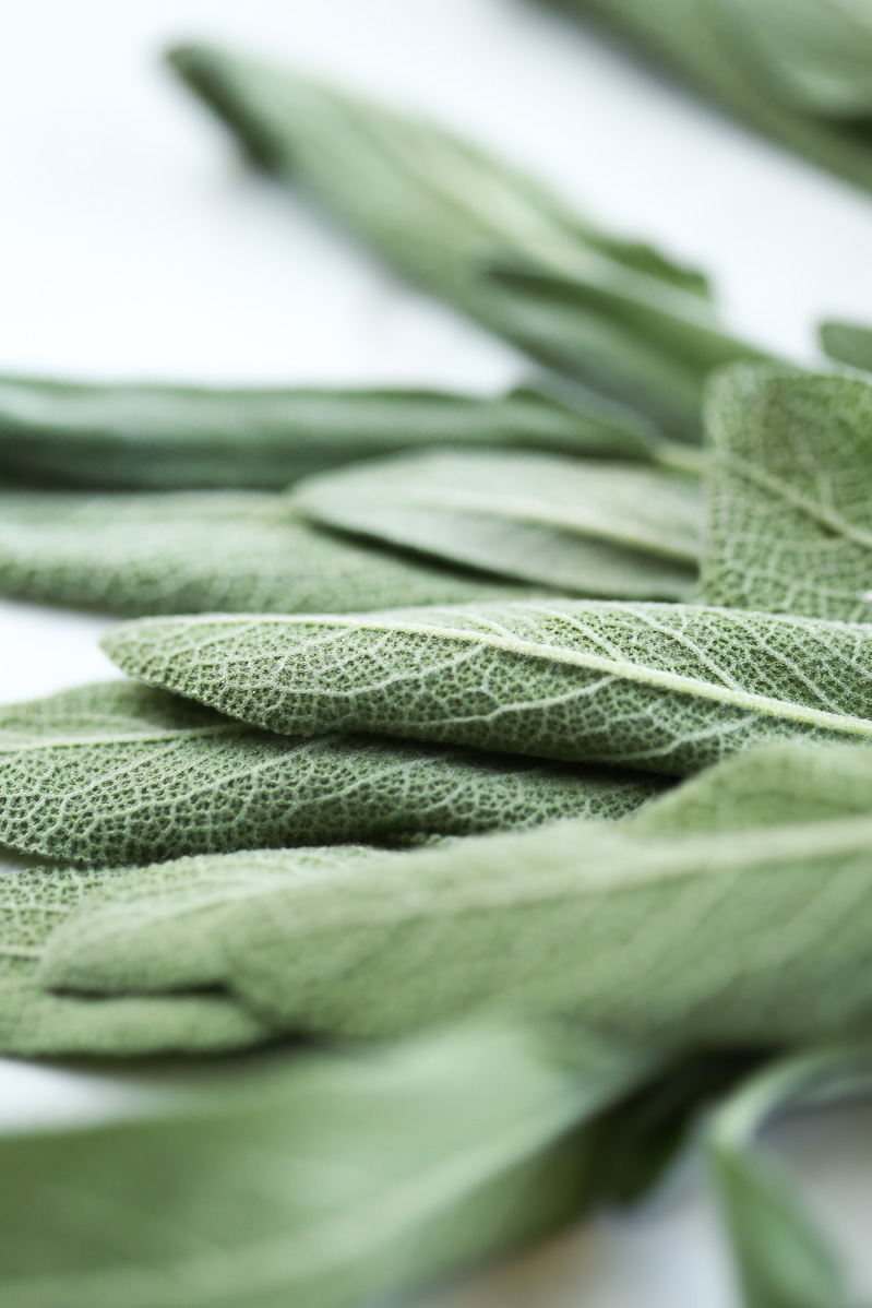 Close and detailed photo of sage leaves.