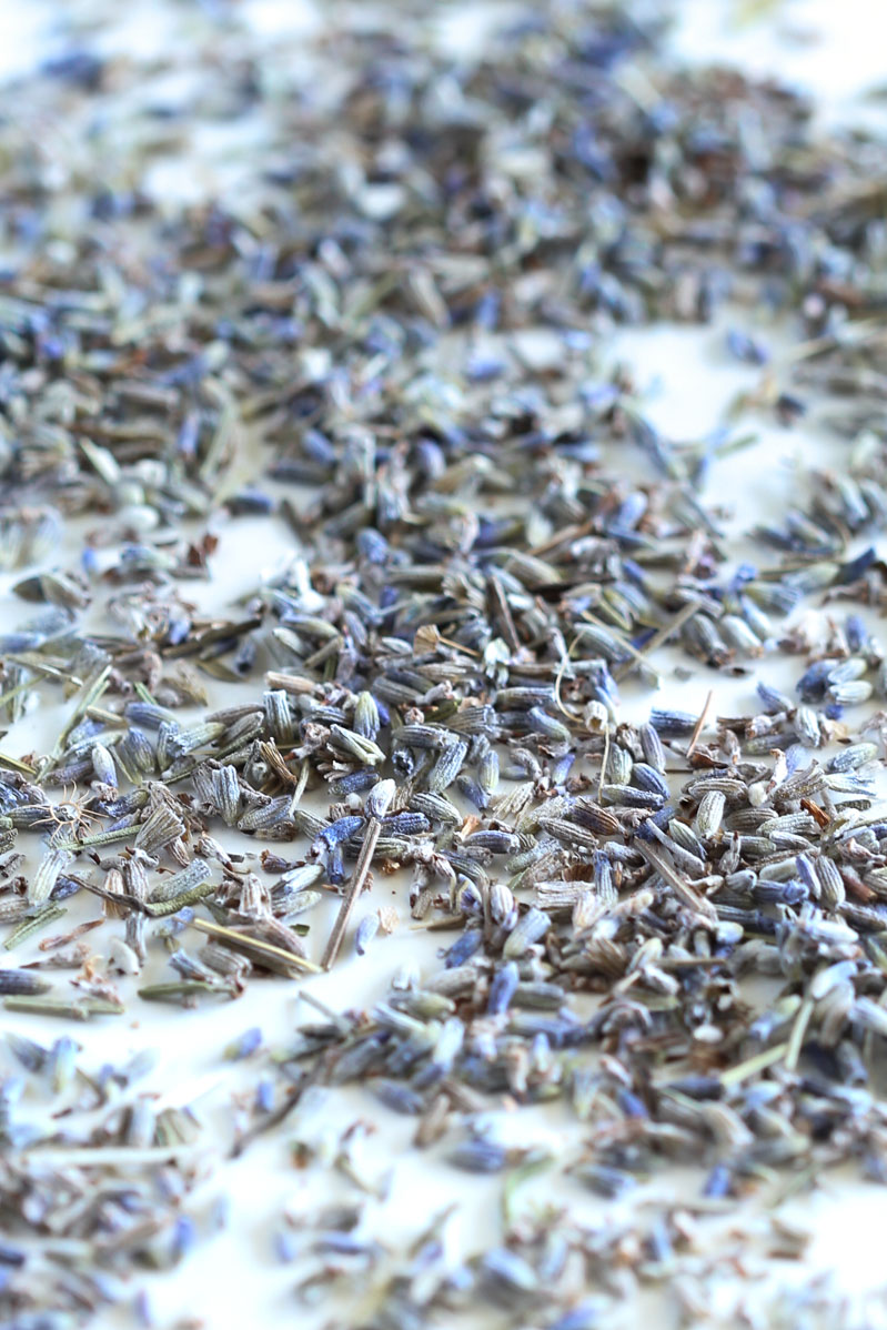 Purplish-blue dried lavender flowers or buds sprinkled on a white table.